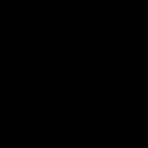 Meet your Posher, Karlie